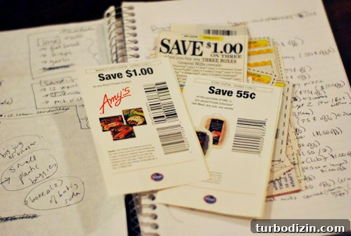 Save Money Grocery Shopping: Smart Tips for Restocking Your Fridge 12 img 40534 11