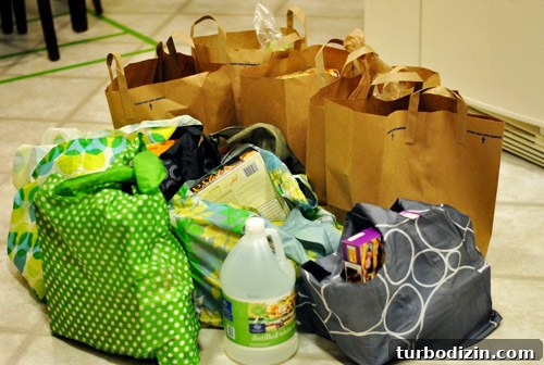 Save Money Grocery Shopping: Smart Tips for Restocking Your Fridge 13 img 40534 12