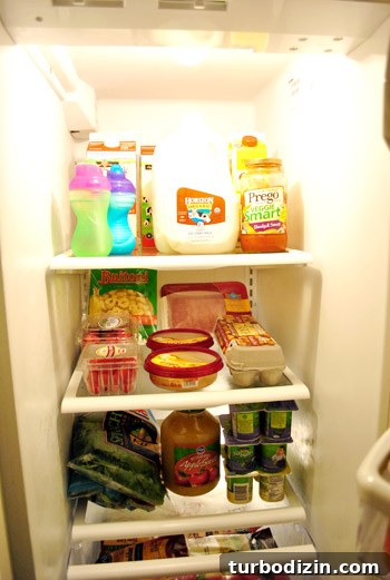 Save Money Grocery Shopping: Smart Tips for Restocking Your Fridge 17 img 40534 16