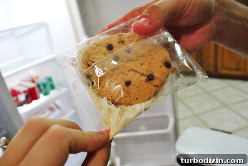 Save Money Grocery Shopping: Smart Tips for Restocking Your Fridge 5 img 40534 4