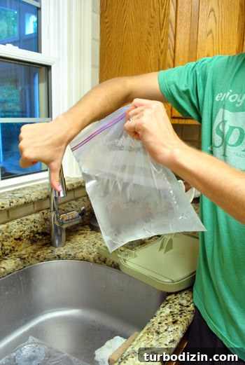 Save Money Grocery Shopping: Smart Tips for Restocking Your Fridge 7 img 40534 6