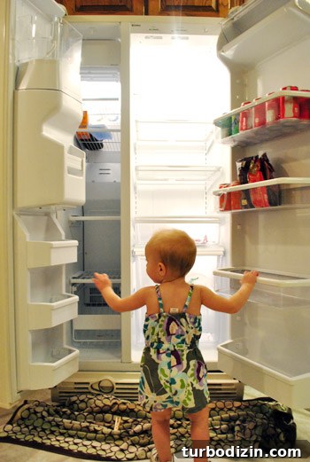 Save Money Grocery Shopping: Smart Tips for Restocking Your Fridge 9 img 40534 8