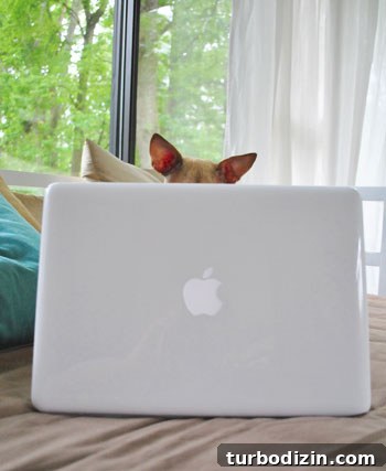 10 Lessons Learned from Years as Professional Bloggers 5 img 40562 4