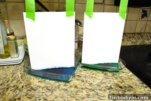 DIY Food Coloring Art Projects: Creative Ideas & Step-by-Step Guide 3 img 40930 2