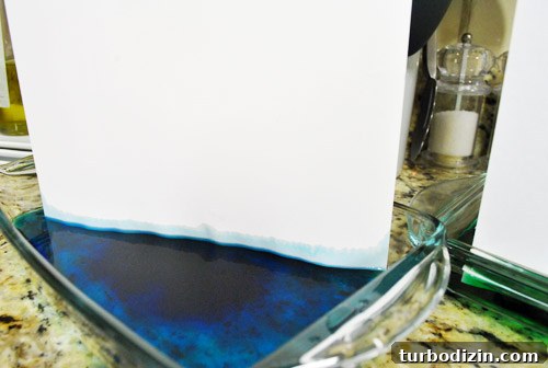 DIY Food Coloring Art Projects: Creative Ideas & Step-by-Step Guide 4 img 40930 3