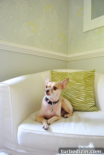 Wall Stenciling Ideas, Tips, and Before-and-After Photos 11 img 41037 10
