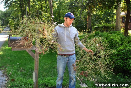 Mailbox Landscaping Ideas to Boost Curb Appeal and Function 6 Cleared mailbox area