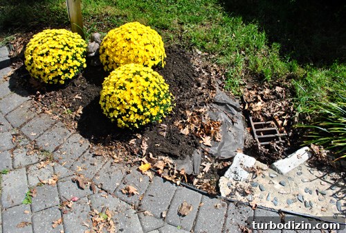 Mailbox Landscaping Ideas to Boost Curb Appeal and Function 8 Exposed weed fabric near drain