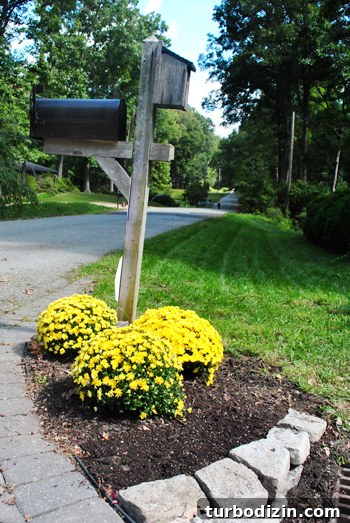 Mailbox Landscaping Ideas to Boost Curb Appeal and Function 10 Mailbox with mums and stacked stone