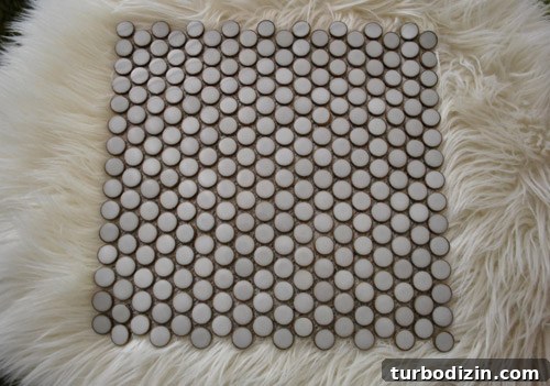 Why We Picked Penny Tile for Our Kitchen Backsplash: Design & Benefits 11 img 41458 10