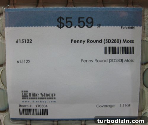 Why We Picked Penny Tile for Our Kitchen Backsplash: Design & Benefits 7 img 41458 6