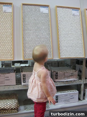 Why We Picked Penny Tile for Our Kitchen Backsplash: Design & Benefits 8 img 41458 7