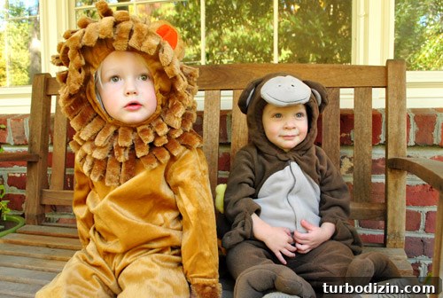 How to Use Secondhand Cabinets in a Kitchen Remodel 10 Little lion costume