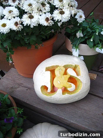 4 No-Carve Pumpkin Craft Ideas Kids Will Love 22 img 41609 21