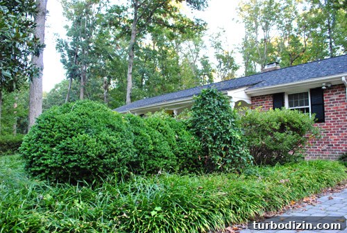 Driveway view before