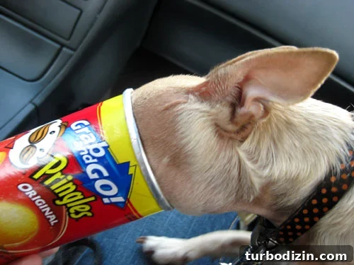 How We Landed a Book Deal: Finding an Agent and Writing a Proposal 3 pringles-face