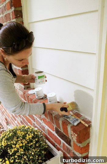 Choose the Perfect New Siding Color: Expert Tips for Your Home 2 img 41901 1