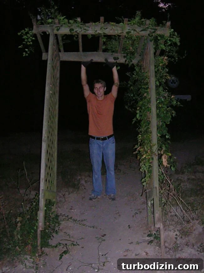 Removing Chair Rail and Demoing a Slate Path: Step-by-Step Guide 6 Garden arch being moved