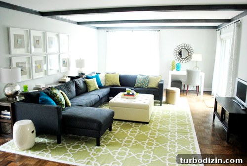Refresh Your Living Room With a Stylish New Rug 9 img 42528 8