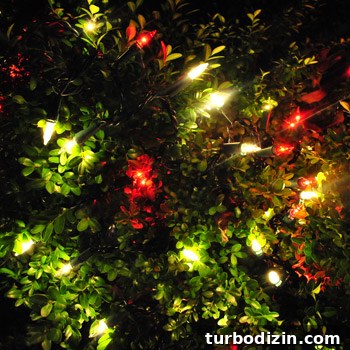 Christmas Exterior House Decorating Ideas: Stylish Outdoor Displays 14 Red and white candy cane lights