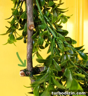 Christmas Exterior House Decorating Ideas: Stylish Outdoor Displays 17 Wreath corner detail
