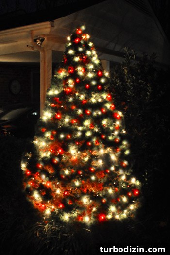 Christmas Exterior House Decorating Ideas: Stylish Outdoor Displays 6 Close-up of outdoor Christmas tree