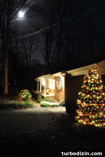 Christmas Exterior House Decorating Ideas: Stylish Outdoor Displays 7 Side view of lit evergreen