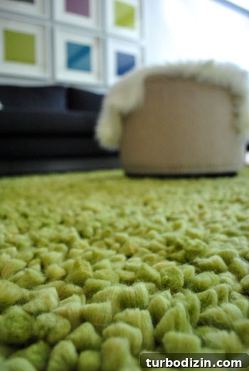 Thick shag rug in living room