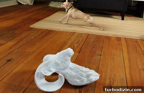 Top February Highlights and Standout Moments 5 Resin ram and dog