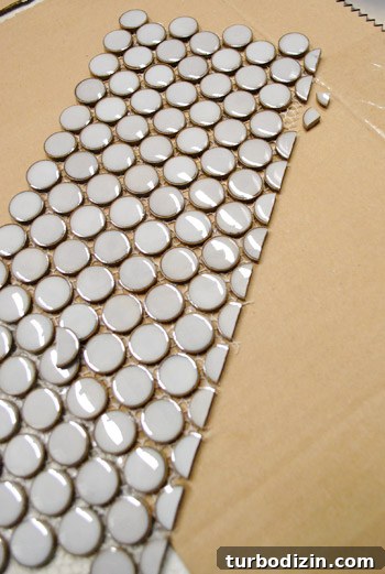 How to Cut Penny Tile Like a Pro: Tools & Techniques 7 img 43836 7