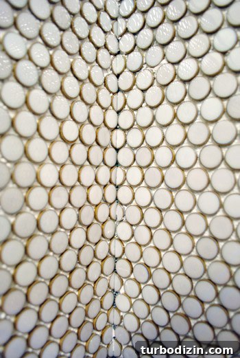 How to Install Penny Tile Flooring: Step-by-Step Guide 19 img 44026 19