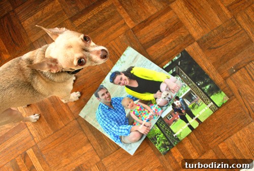 Create Lasting Memories: Annual Photo Book Storage Guide 12 Silly photo bomber