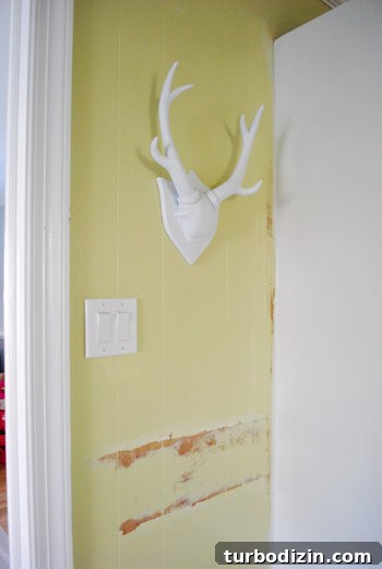 Wall anchors for hanging