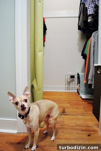 How to Install a Pendant Light in a Closet 17 img 44217 16