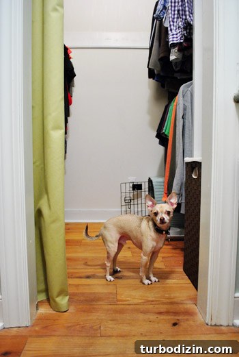 How to Install a Pendant Light in a Closet 18 img 44217 17