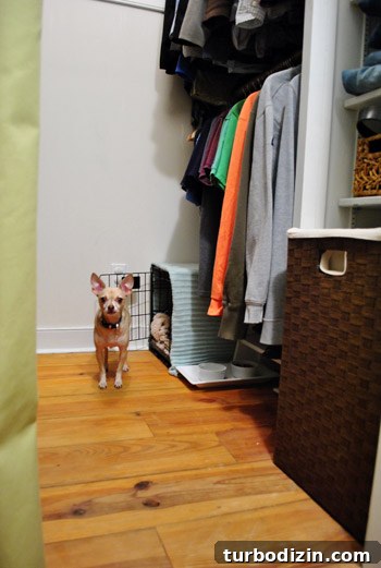 How to Install a Pendant Light in a Closet 20 img 44217 19
