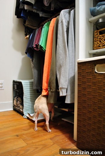 How to Install a Pendant Light in a Closet 21 img 44217 20