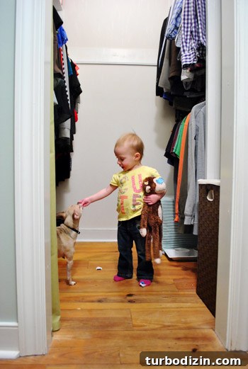 How to Install a Pendant Light in a Closet 22 img 44217 21