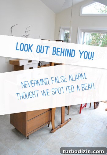 What’s New with the Book: Latest Updates and Release News 15 Dining room projects