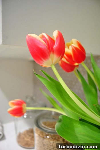 Create a Stunning DIY Tulip Bouquet: Step-by-Step Floral Guide 5 Tulips in a seeded glass hurricane