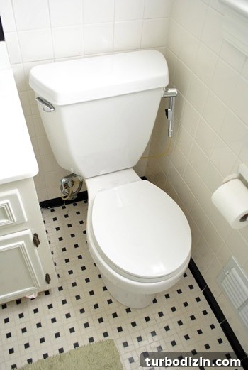 Fix a Wobbly Toilet: Quick Steps to Stabilize It Safely 2 Toilet in hall bathroom with cloth diaper sprayer attachment