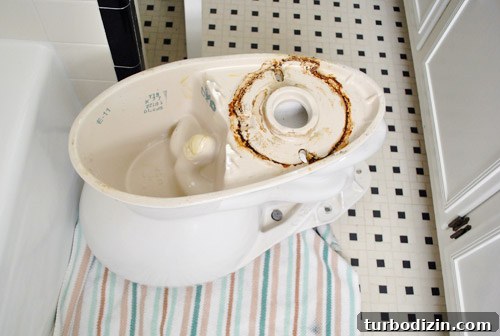 Fix a Wobbly Toilet: Quick Steps to Stabilize It Safely 15 Dirty underside of toilet bowl with lefover wax ring residue