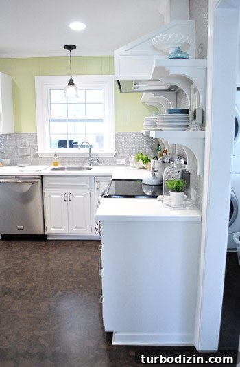 Penny Tile Kitchen Remodel with Stylish Open Shelving 16 img 44734 15