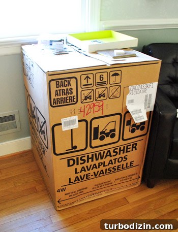 Dishwasher Installation Guide: Step-by-Step Instructions for Homeowners 3 img 44743 2