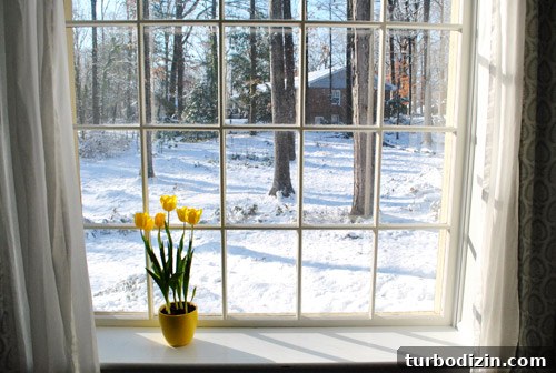 Can You Guess Our Location? Fun Travel Photo Challenge 2 Snowy view from living room window