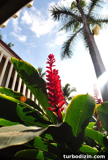 Can You Guess Our Location? Fun Travel Photo Challenge 6 Family in Hawaii