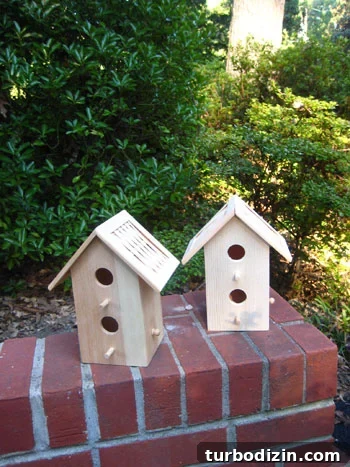 birdhousebeforepictures img 4494 1