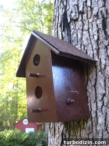 birdfeederafterpicture img 4494 2