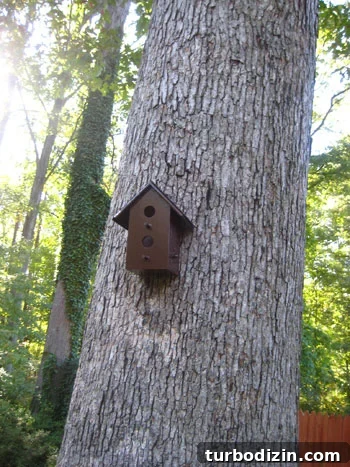birdhouseafterpicturesmakeover img 4494 3
