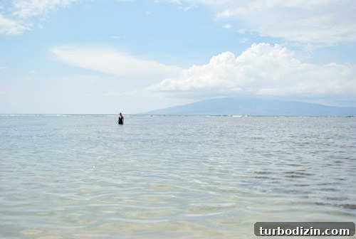 Maui with a Toddler: Practical Tips for a Smooth Family Trip 17 img 45139 18